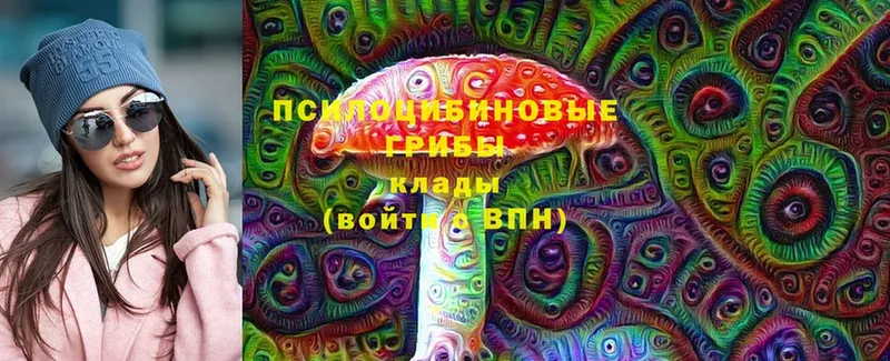 Галлюциногенные грибы Magic Shrooms  Амурск 